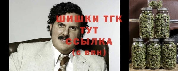 тгк Армянск