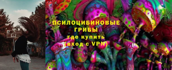 PSILOCYBIN Арсеньев