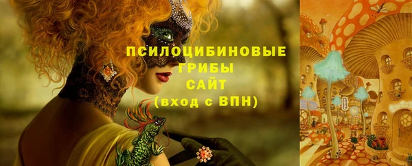 PSILOCYBIN Арсеньев
