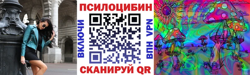 hydra зеркало  Орлов  Псилоцибиновые грибы Psilocybe 