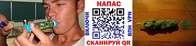 Конопля гибрид  OMG tor  Орлов 